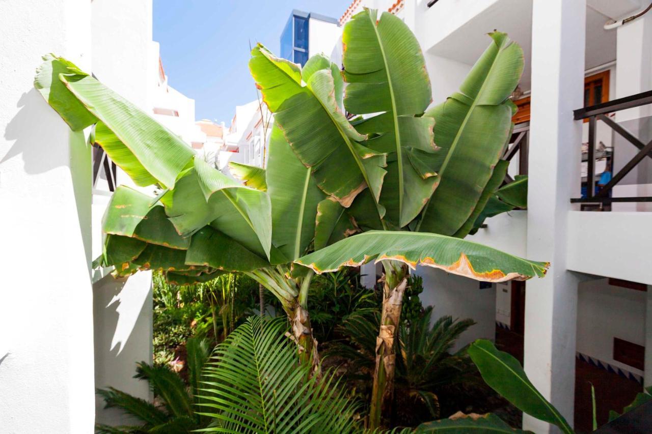 Estudio 1 Sara En Playa De Las America - Sara Vacation Costa Adeje (Tenerife) Exterior foto